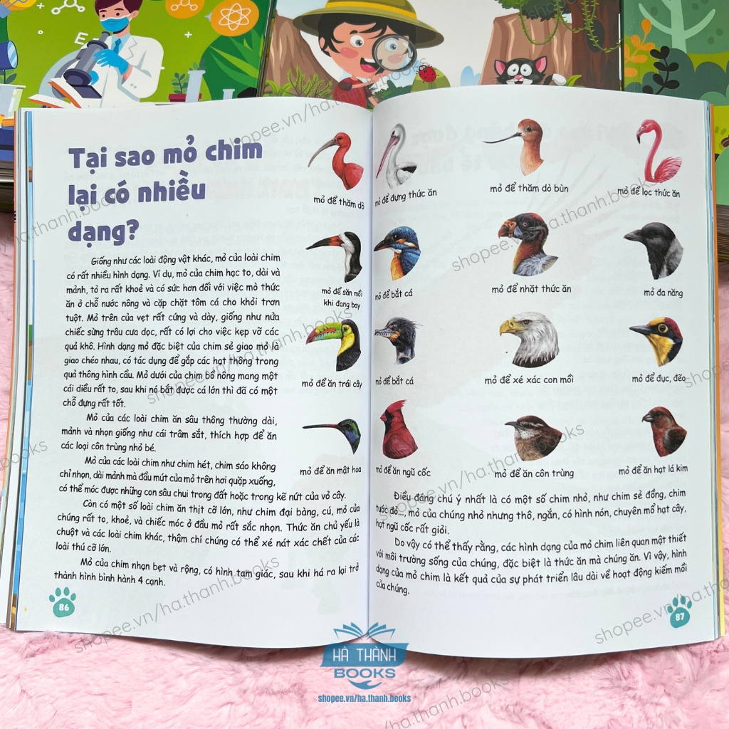 Bộ Sách 10 Vạn Câu Hỏi Vì Sao Cho Bé Khám Phá Vũ Trụ Động Vật Thực Vật Vật Lý - Phiên Bản Mới Nhất
