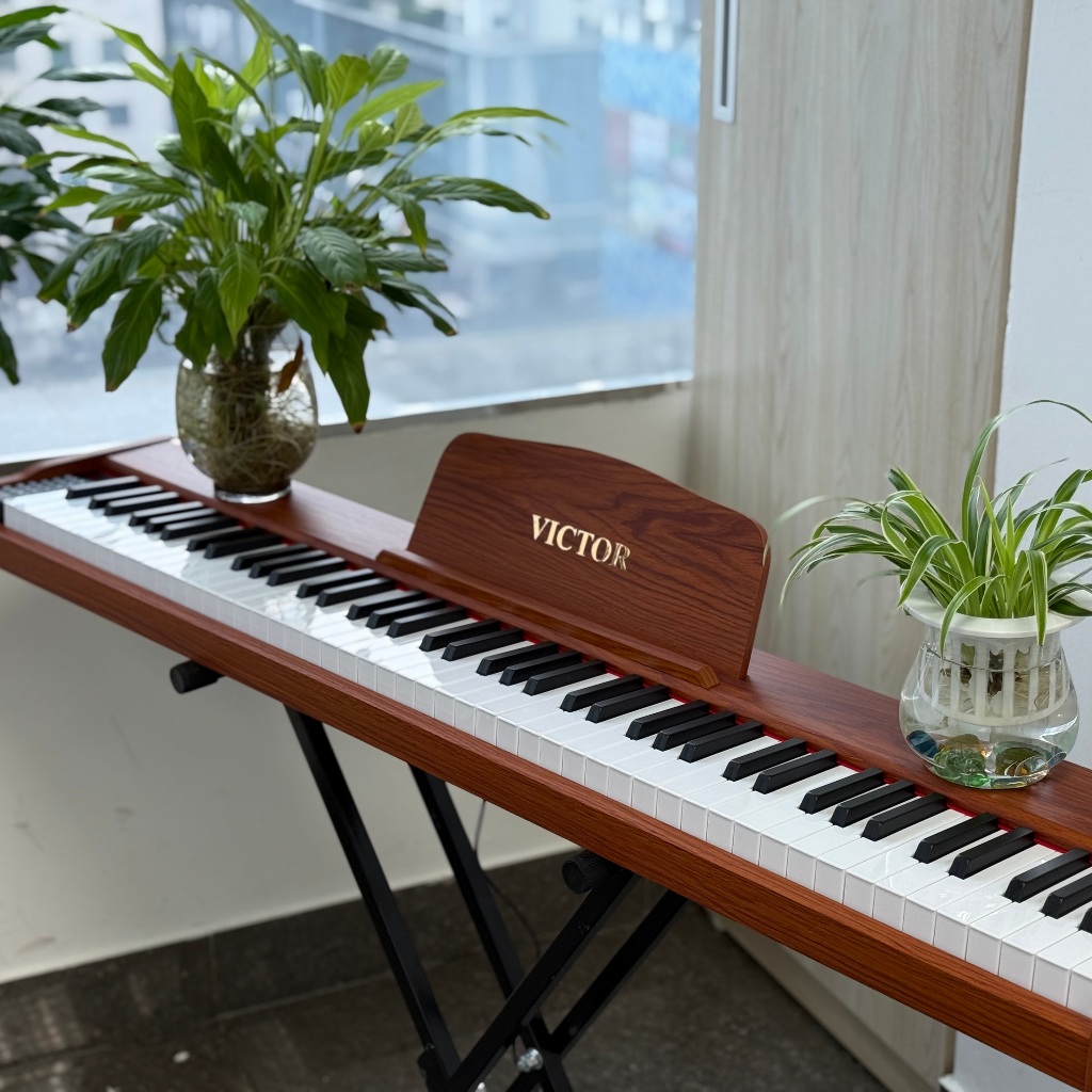 Đàn Piano VICTOR VT02 - 88 Phím - Full Phụ Kiện, Đàn Xịn, Bền Đẹp Chắc Chắn Và Bảo Hành Lâu Dài