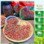 Kỷ Tử Đỏ Hoang Dã Hàng Đẹp Vụ Mới 500g | Quả To Đều Thơm Ngọt Tự Nhiên Sạch Khô Đẹp