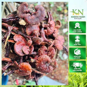 Nấm Linh Chi Đỏ Vụ Mới | Thơm Đậm Tự Nhiên Khô Sạch Không Mọt Hàng Đẹp 500gr