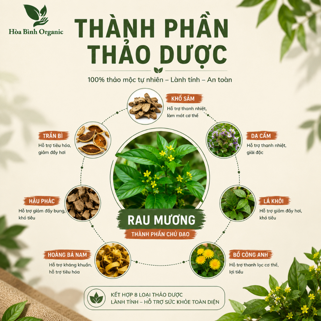HÒA BÌNH ORGANIC- Trà Rau Mương, Chè Dây Hỗ trợ đ.trị viêm loét, trào ngược, khuẩn HP - Bịch 50 lọc
