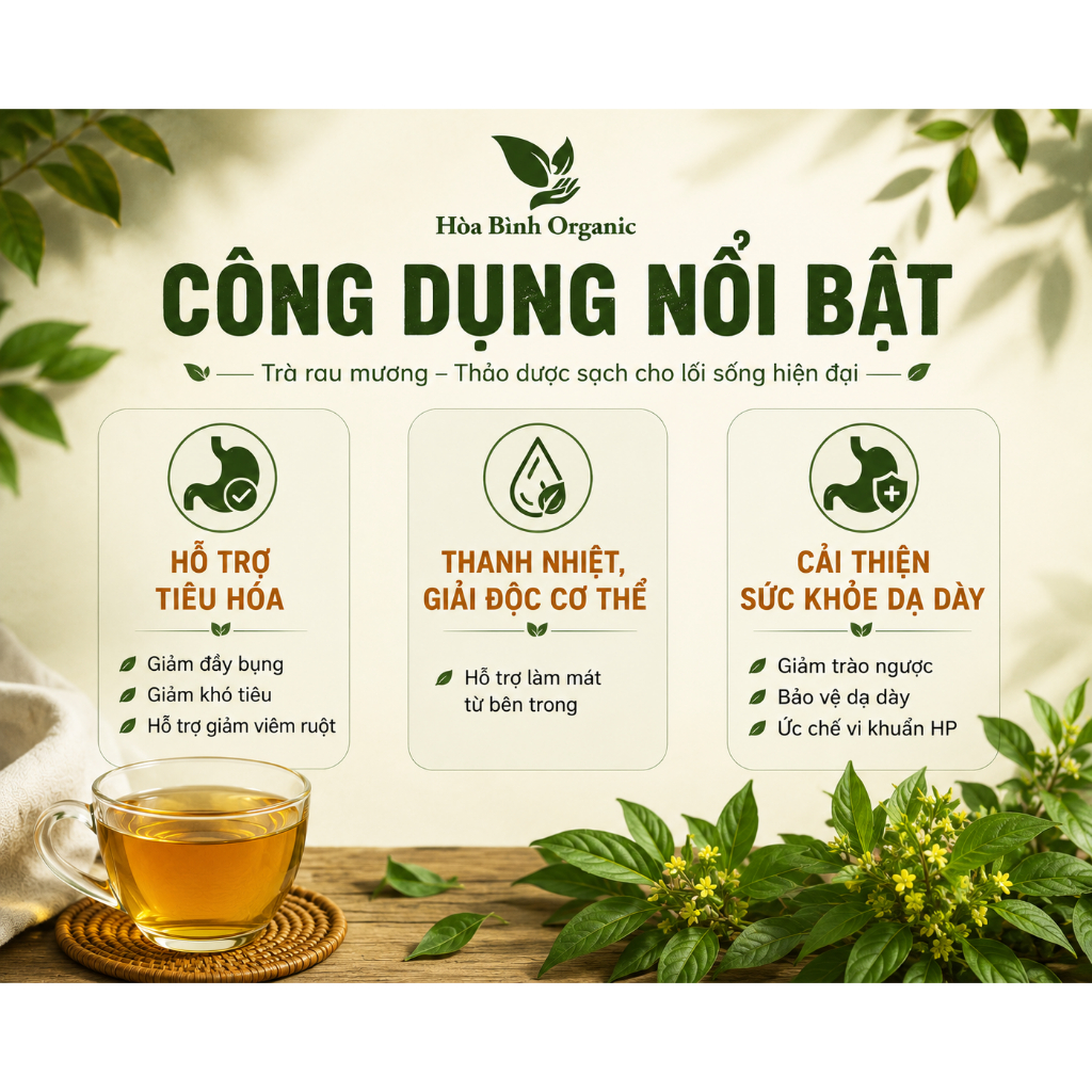 HÒA BÌNH ORGANIC- Trà Rau Mương, Chè Dây Hỗ trợ đ.trị viêm loét, trào ngược, khuẩn HP - Bịch 50 lọc