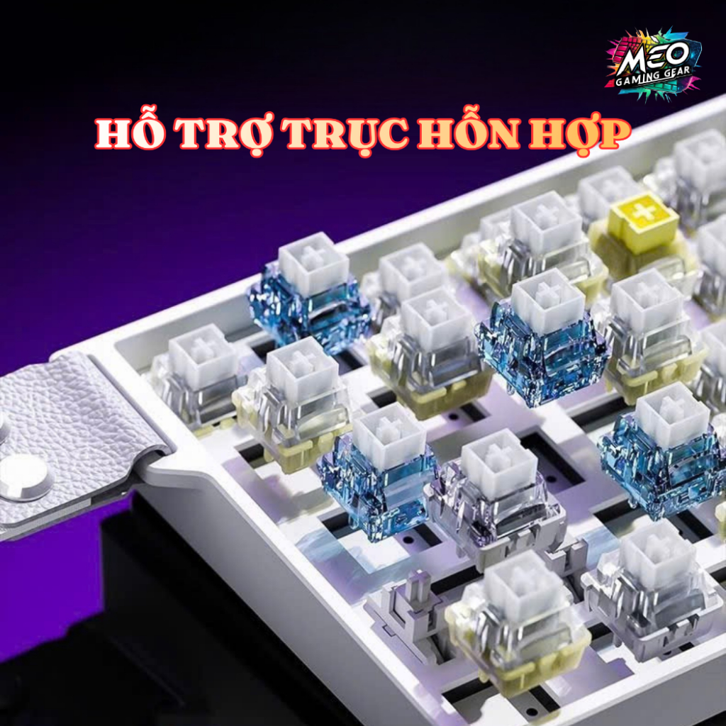 Bàn Phím Cơ Gaming Aula Mini 60 HE - Rapid Trigger Switch Nam Châm Polling Rate 8k - RT 0.01mm | BigBuy360 - bigbuy360.vn