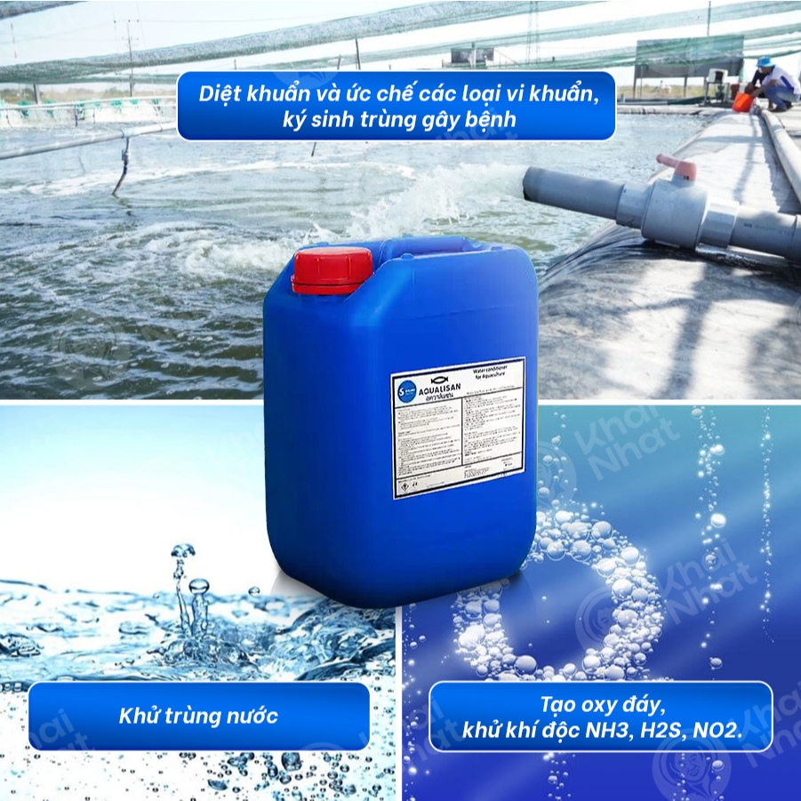 Aqualisan chất khử trùng nước nuôi trồng thủy sản (22kg/can) - Diệt và ức chế vi khuẩn, ký sinh trùng nuôi tôm, nuôi cá