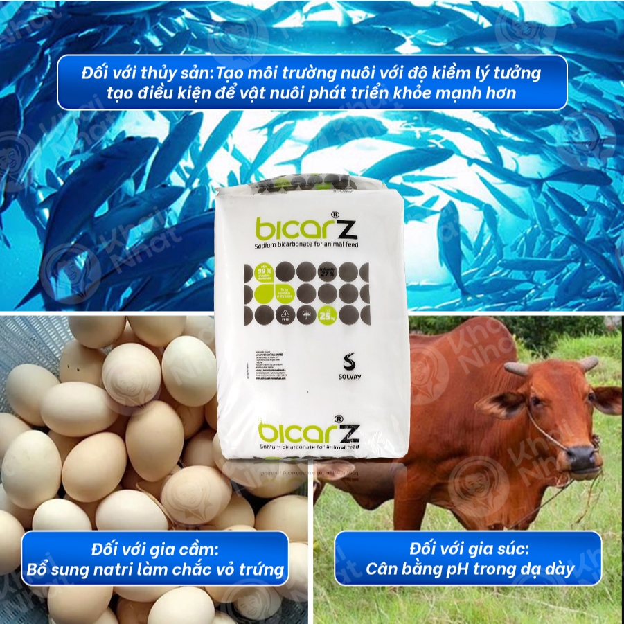 Bicar Z Thái/EU - Sodium Bicarbonate (25kg/bao) – NaHCO 99% Feed Grade