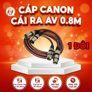 đơn vị 2 cái Dây Canon AV Loại Tốt,(Canon Cái Sang AV/Hoa Sen) dây jack canon cái ra 1 đầu av