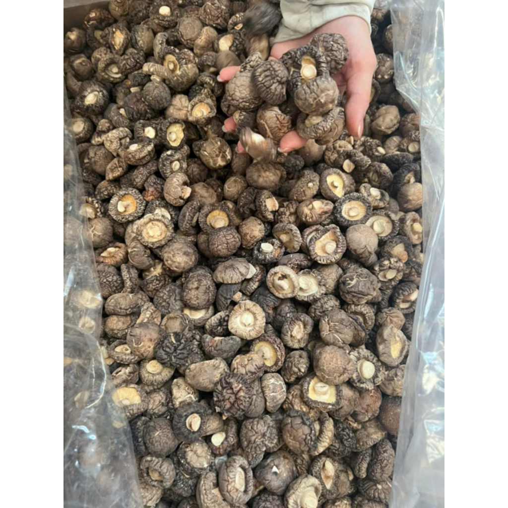 Nấm Đông Cô Khô Tai To , Dày Giàu Dinh Dưỡng 100gr/500gr/1kg