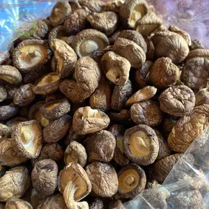 Nấm Đông Cô Khô Tai To , Dày Giàu Dinh Dưỡng 100gr/500gr/1kg