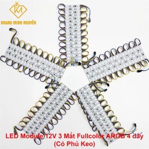 LED Module 12V 3 Mắt Full màu 8206 LẬP TRÌNH TỰ CHẠY