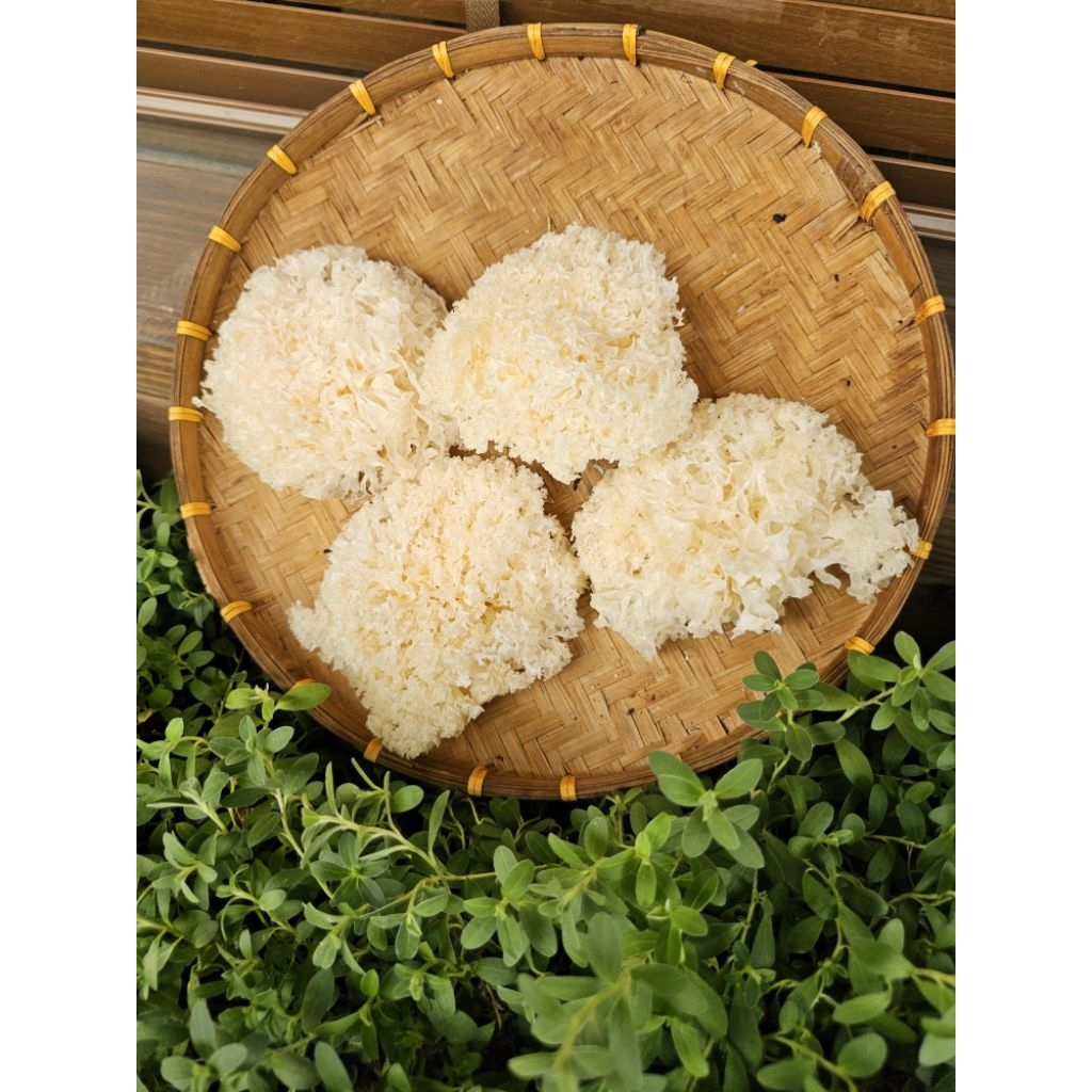 Nấm Tuyết Khô Nguyên Bông Loại 1 Không Vỡ, Hút Chân Không Nở Dai Giòn