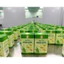 Tinh dầu ngải cứu thảo mộc xanh X4 Chai 50ml