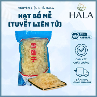 Túi 200g - 500g Hạt Bồ Mễ (Tuyết Liên Tử) Nguyên Hạt, Dẻo, Ngon Dùng Nấu Chè Dưỡng Nhan - HALA