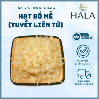 Túi 200g - 500g Hạt Bồ Mễ (Tuyết Liên Tử) Nguyên Hạt, Dẻo, Ngon Dùng Nấu Chè Dưỡng Nhan - HALA