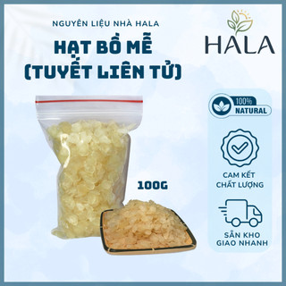 Túi 200g - 500g Hạt Bồ Mễ (Tuyết Liên Tử) Nguyên Hạt, Dẻo, Ngon Dùng Nấu Chè Dưỡng Nhan - HALA
