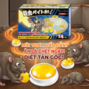 🐀Diệt chuột mạnh mẽ và hiệu quả🐀Thuốc diệt chuột- Dẫn dụ, giết và đuổi chuột, 1 hộp 24 viên