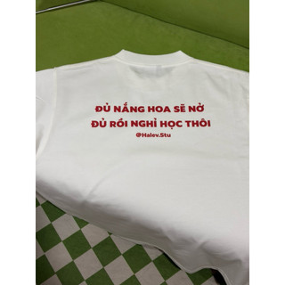 [ MỆT BOXY COLLECTION] Áo thun Boxy Halev Brand Meme Hài Hước Unisex Chất cotton Premium 260gsm