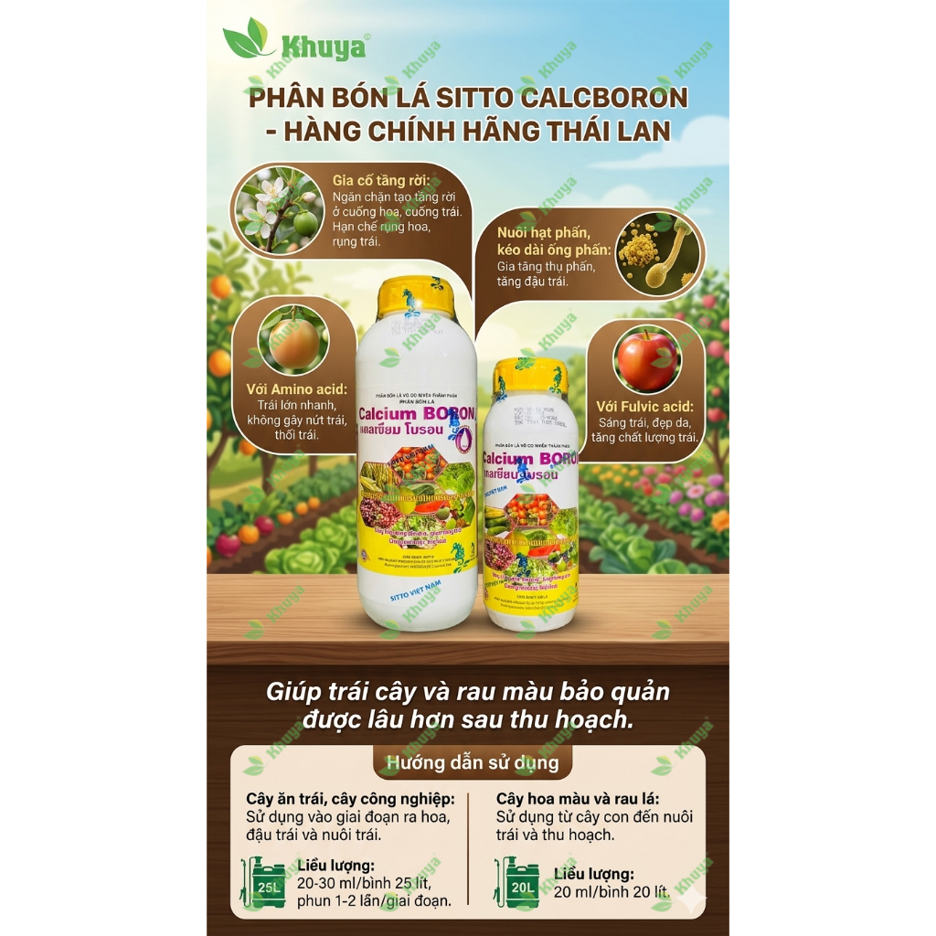 Phân bón lá SITTO CALCIUM BORON Thái Lan (Canxi Bo) Chống Rụng Trái và Nứt Trái