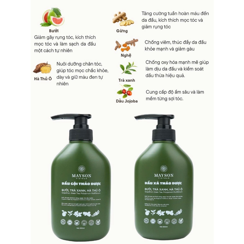 Combo 5 Gội Xả Thảo Dược MAYSON VIỆT NAM, Dầu Gội Thiên Nhiên Chiết Xuất Từ Bưởi Trà Xanh Gừng Nghệ