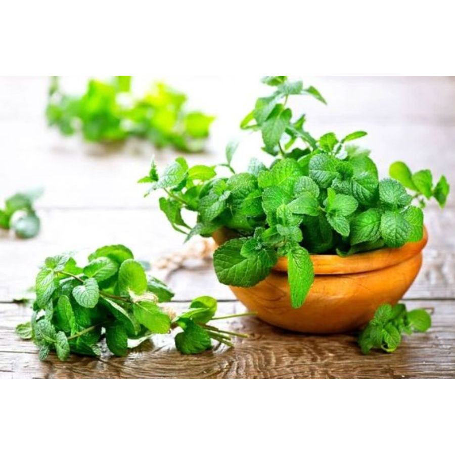 Gói 3090 Hạt Giống Rau Húng Lủi Tây TN 68, Dễ Trồng Quanh Năm, Rau Ăn Lá Cty Trang Nông Nổi Tiếng, Hạt Nảy Mầm Nhanh