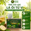 TRÀ TÚI LỌC LÁ ỔI TỨ VỊ, , 25 túi lọc/hộp