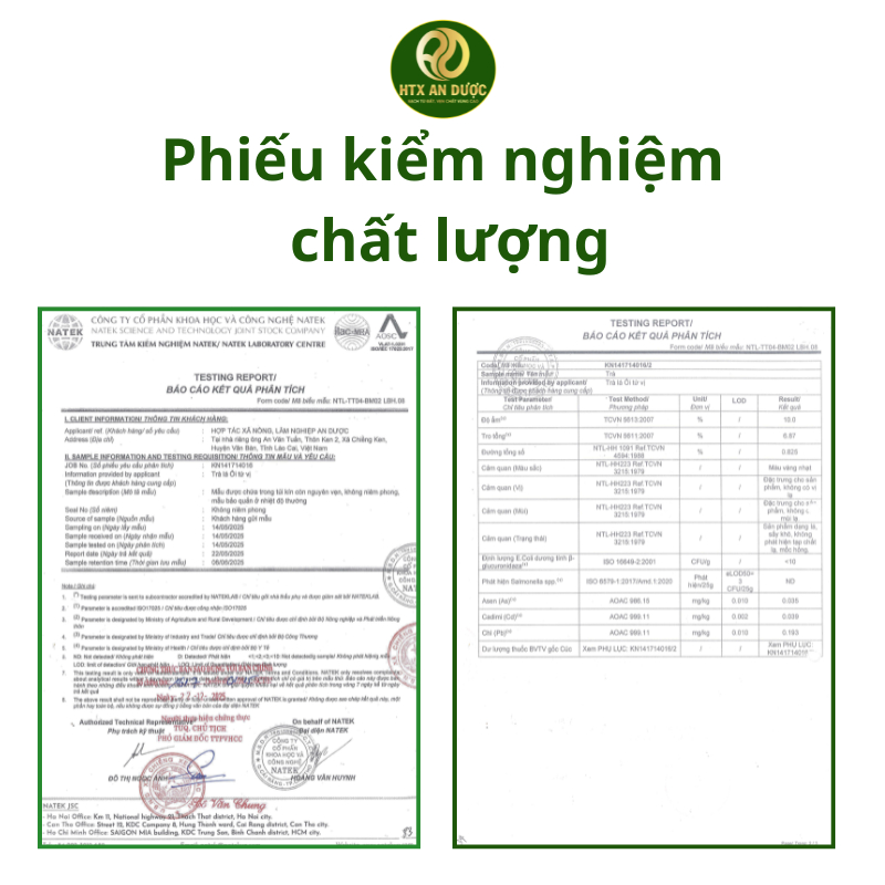 TRÀ TÚI LỌC LÁ ỔI TỨ VỊ