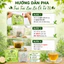 TRÀ TÚI LỌC LÁ ỔI TỨ VỊ, , 25 túi lọc/hộp