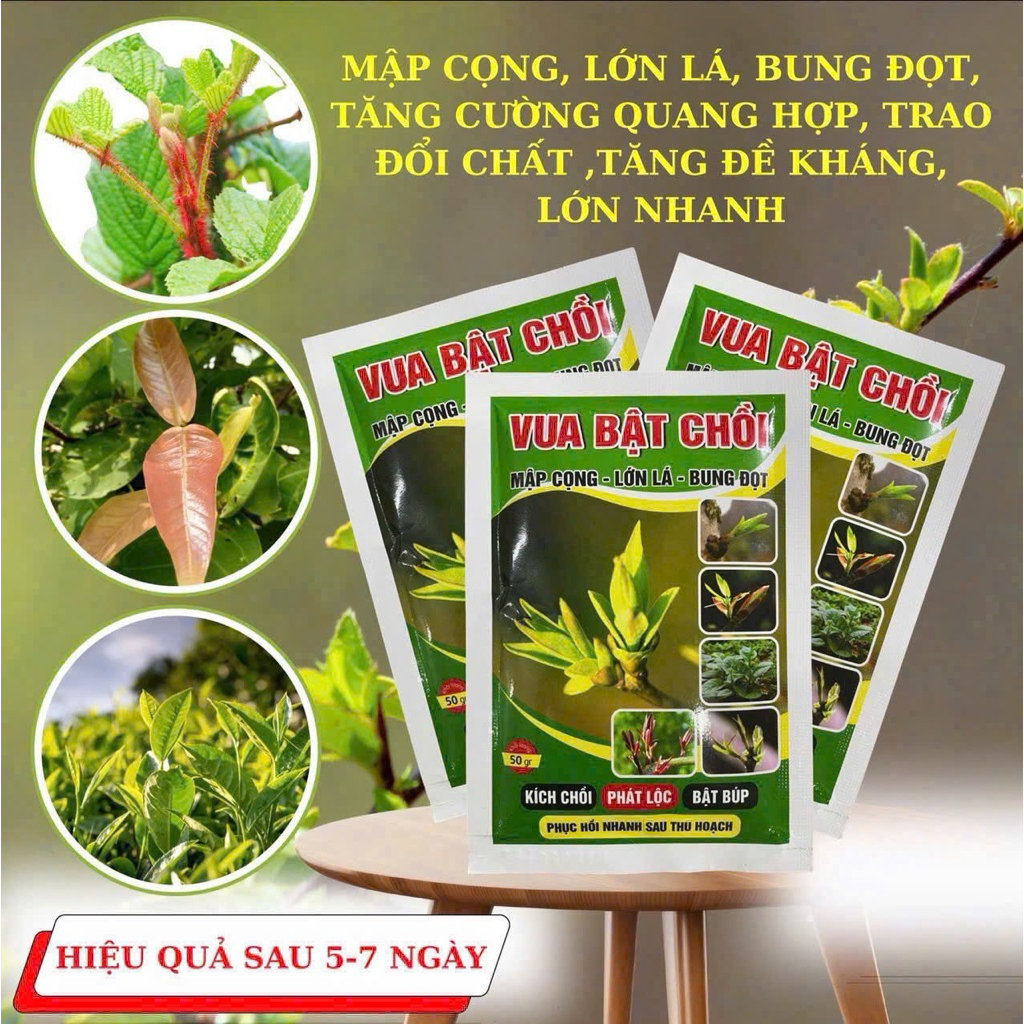 Rooting extra- Vua bật trồi Chăm sóc cây toàn diện