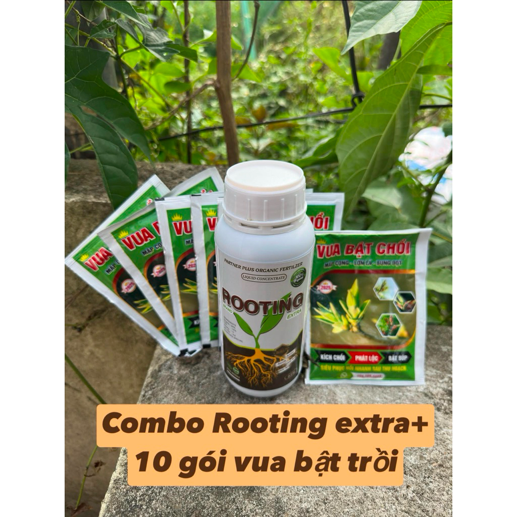 Rooting extra- Vua bật trồi Chăm sóc cây toàn diện