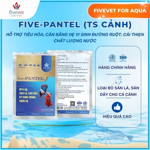 Tẩy Sán Cá Cảnh Praziquantel FIVEVET – Five-Pantel TS Cảnh