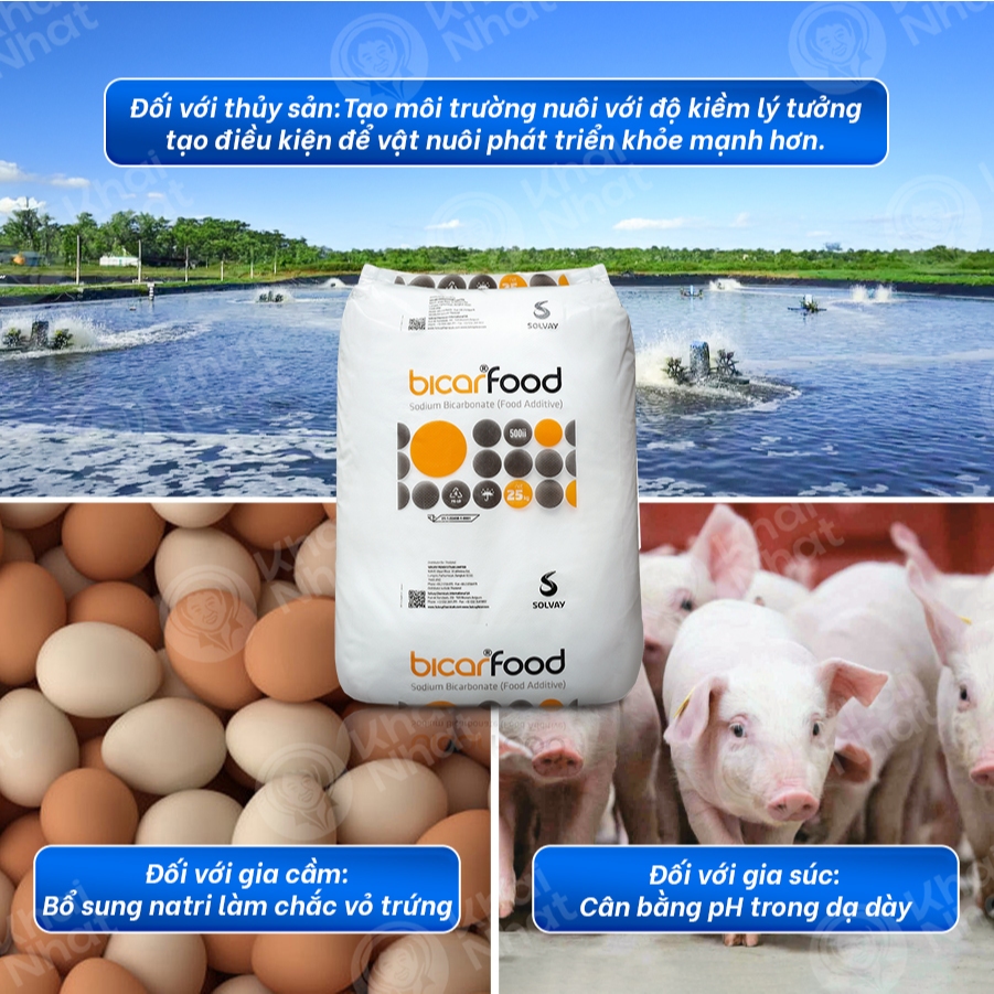 Bột nở làm bánh Baking Soda - Sodium Bicarbonate Food (25kg/bao) – NaHCO3 99% Feed Grade