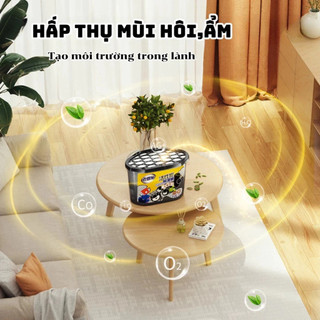 Hộp Hút Ẩm Than Hoạt Tính Khử Mùi,Chống Ẩm Mốc Hiệu Quả,Dùng Cho Tủ Quần Áo,Tủ Giày,Phòng Ngủ,