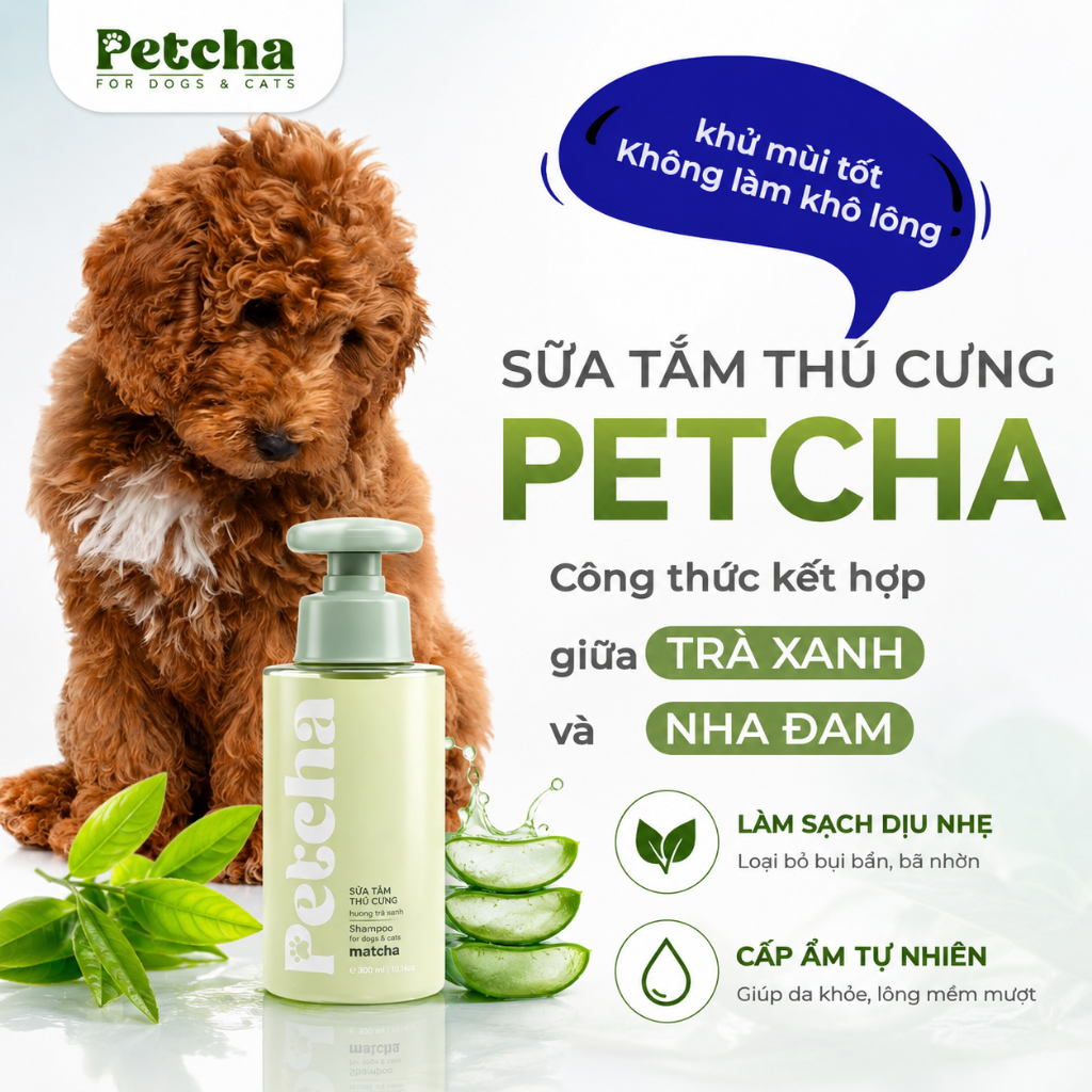 Sữa Tắm Chó Mèo Petcha 300ml - Dưỡng Lông Khử Mùi Hôi Cho Thú Cưng, Thành Phần Lành Tính Thơm Lâu