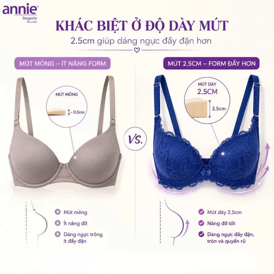 Áo ngực ren 3 móc tạo dáng lưng thon annie Bra 8140, mút dày nâng ngực gợi cảm,sang trọng,thoáng mát