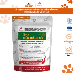 Five- Điện giải-C.sủi Hỗ trợ chống nóng, chống nắng, chống stress, chống mất nước, giải độc, tăng lực (1kg)