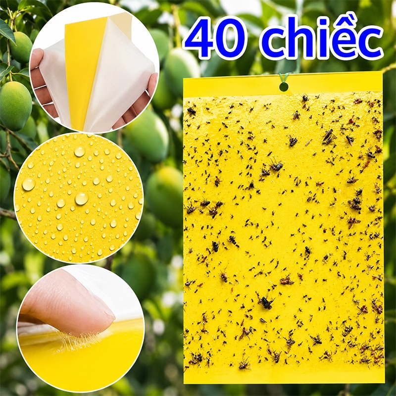 40 Tấm Bẫy Dính Côn Trùng 2 Mặt Màu Vàng Bắt Ruồi Vàng Ruồi Trắng Rầy Mềm Cho Cây Trồng