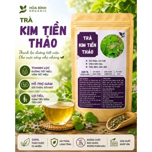 HÒA BÌNH ORGANIC - Trà Túi Lọc Kim Tiền Thảo - Lợi tiểu, tiêu viêm, thanh lọc sỏi thận