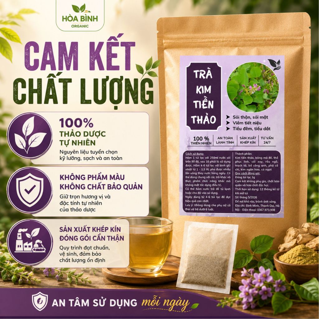 HÒA BÌNH ORGANIC - Trà Túi Lọc Kim Tiền Thảo - Lợi tiểu, tiêu viêm, thanh lọc sỏi thận - Bịch 50 lọc