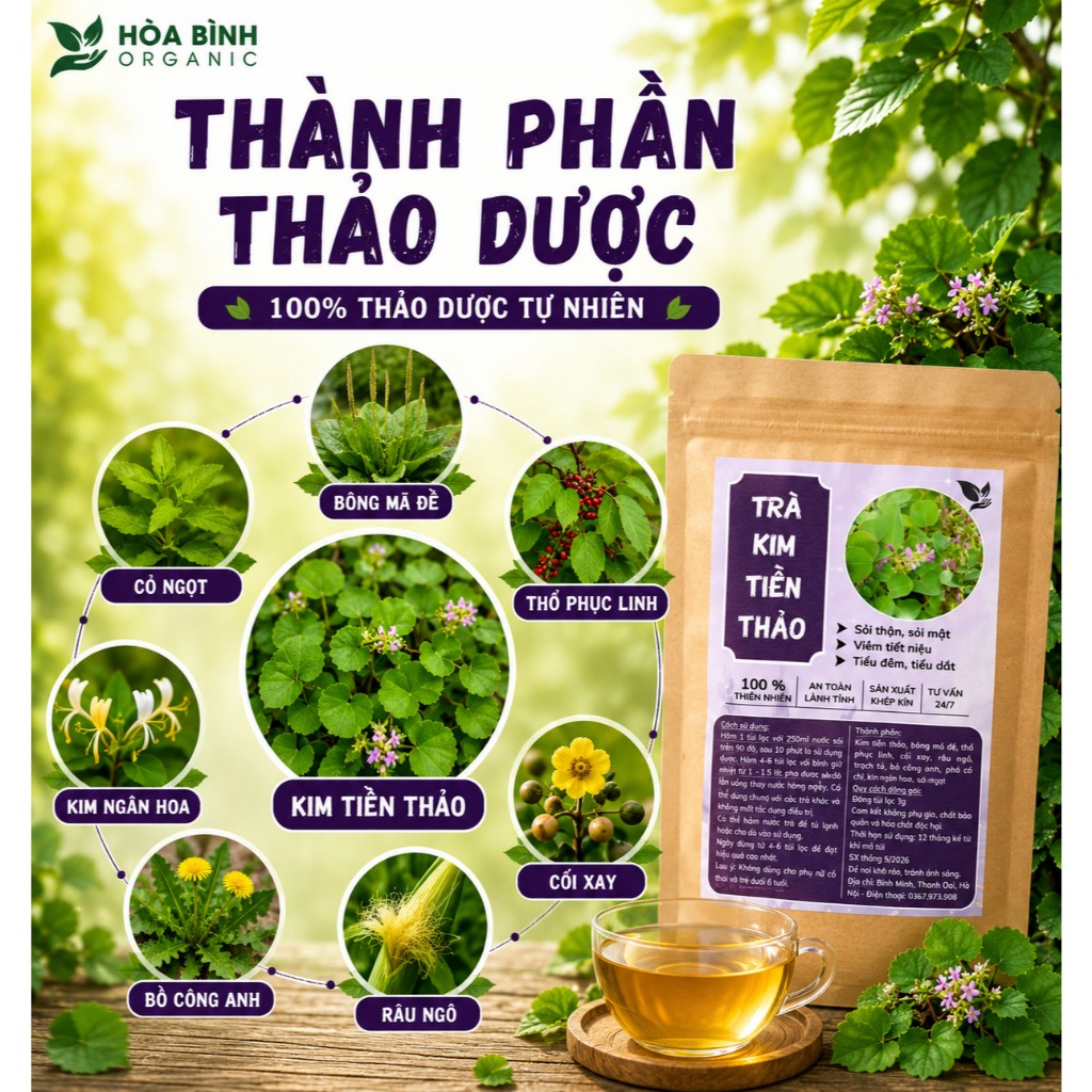 HÒA BÌNH ORGANIC - Trà Túi Lọc Kim Tiền Thảo - Lợi tiểu, tiêu viêm, thanh lọc sỏi thận - Bịch 50 lọc
