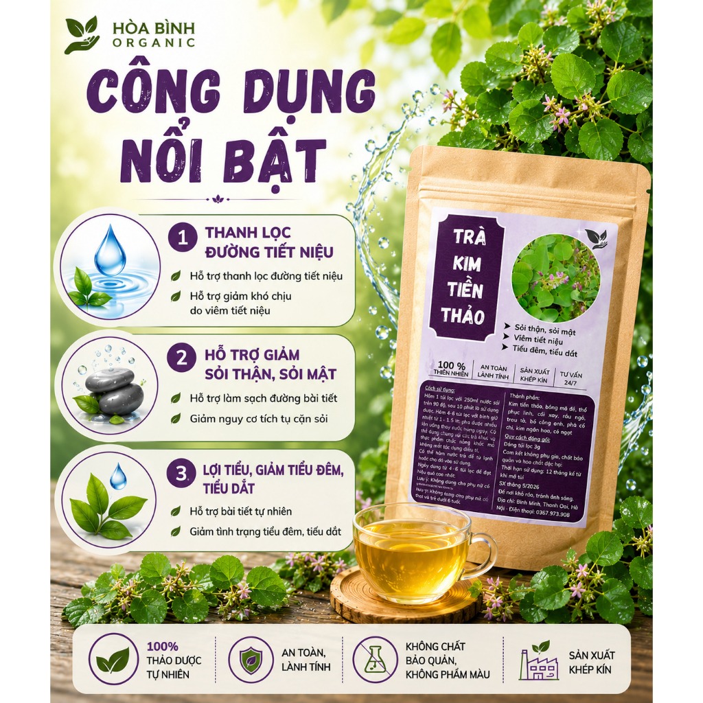 HÒA BÌNH ORGANIC - Trà Túi Lọc Kim Tiền Thảo - Lợi tiểu, tiêu viêm, thanh lọc sỏi thận - Bịch 50 lọc
