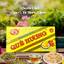 Bánh Đậu Xanh Quê Hương Hộp 230g – Bánh Đậu Xanh Truyền Thống, Ngọt Bùi, Tan Ngay, Đặc Sản Việt Nam