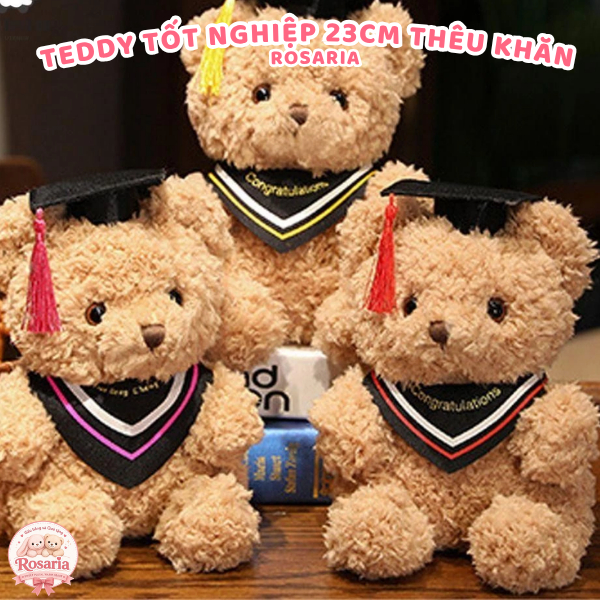 Gấu Bông Teddy Tốt Nghiệp 23cm Thêu Khăn Theo Yêu Cầu – Quà Tặng Tốt Nghiệp Ý Nghĩa, Dễ Thương