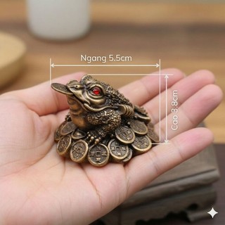 Cóc Ngậm Tiền Vàng Thiềm Thừ Phong Thủy Thu Hút Tài Lộc