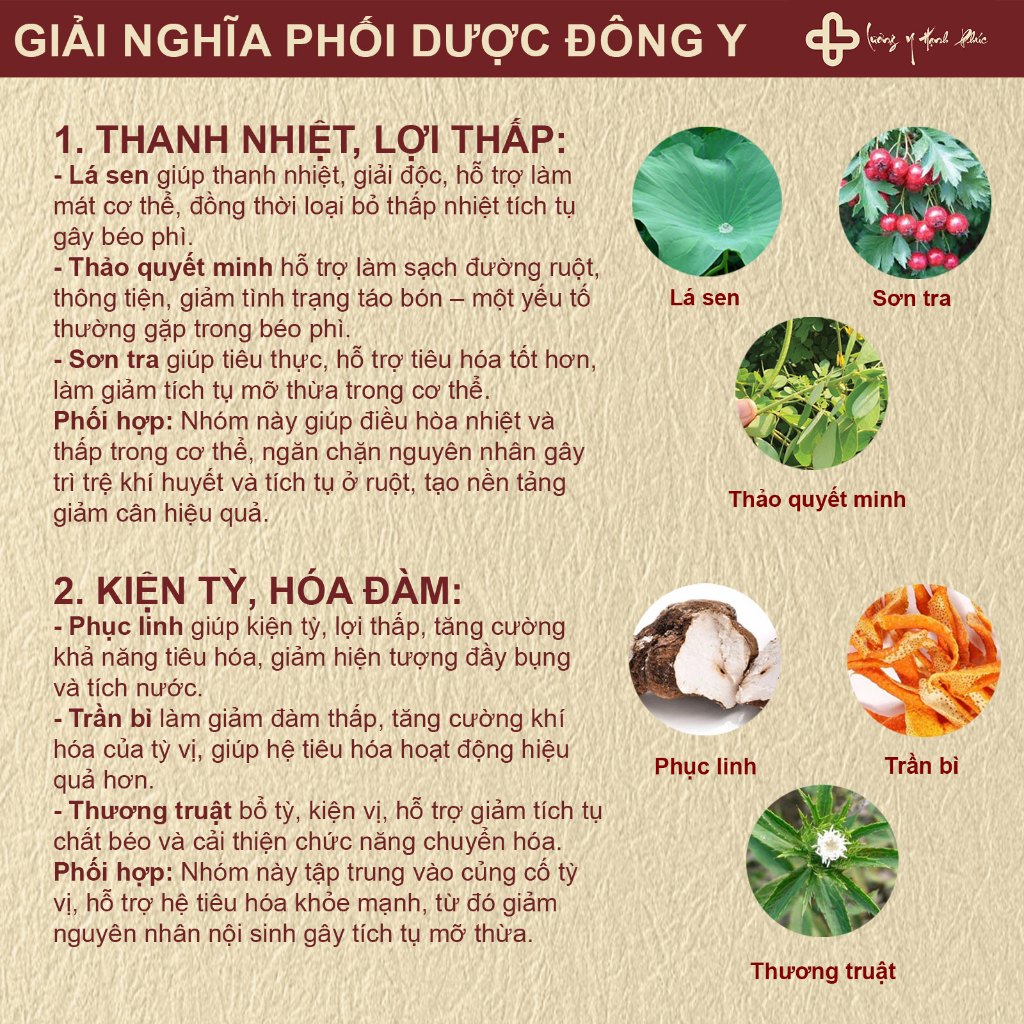 Trà Tiêu Thực - Thanh Lọc Cơ Thể, Đào Thải Tự Nhiên, Giúp Nhẹ Người 5