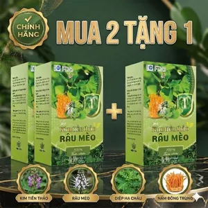 Trà Kim Tiền Thảo Râu Mèo Túi Lọc 30 Gói - Thảo Mộc Thiên Nhiên