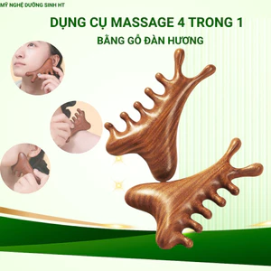 Lược Massage Gỗ Đàn Hương Hình Nhánh Cây – massage mặt và cổ vai gáy - MỸ NGHỆ DƯỠNG SINH HT