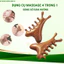 Lược Massage Gỗ Đàn Hương Hình Nhánh Cây – massage mặt và cổ vai gáy - MỸ NGHỆ DƯỠNG SINH HT