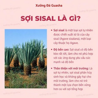 Bông Tắm Lưới Sợi Sisal Tự Nhiên Tạo Bọt Siêu Mịn Làm Sạch Sâu Hiệu Quả Tẩy Tế Bào Chết Nhẹ Nhàng Trên Da