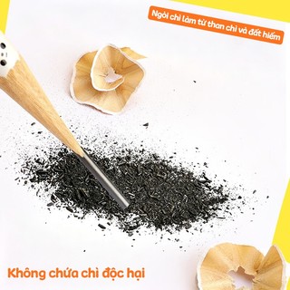 Bút Chì HB Kèm Tẩy Luyện Chữ Học Tập Cho Học Sinh Văn Phòng, Gỗ Cao Cấp, Đầu Tẩy Dễ Thương, Set 20-60 Cây, Giá Siêu Rẻ