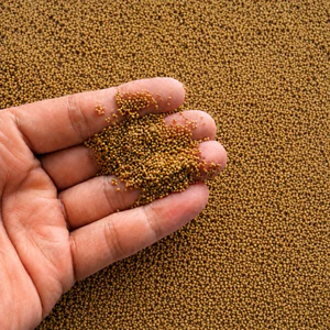 Thức ăn cá 3 đuôi, 7 màu, chép koi, lia thia, betta..đủ size 0.5-1li ĐẠM 42% (500G - 1KG) CÁM NỔ