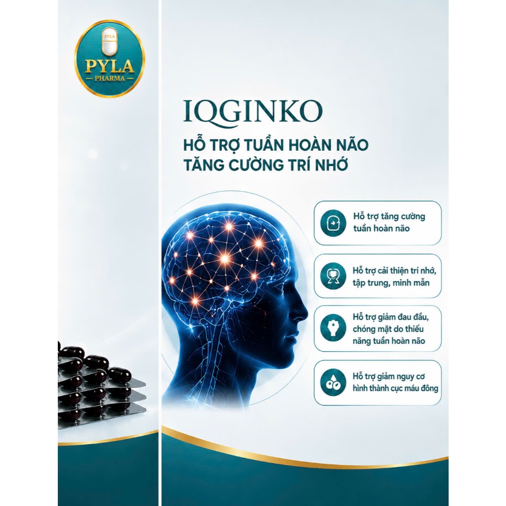 IQGINKO Nhập Khẩu Pháp - Viên Uống Bổ Não Hỗ Trợ Tăng Cường Trí Nhớ, Tuần Hoàn Não, Giảm Hay Quên - 30 Viên